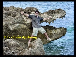 Đùa với sấu đại dương 