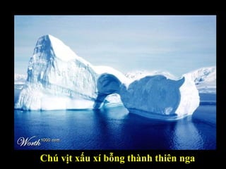 Chú vịt xấu xí bỗng thành thiên nga 