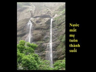 Nước  mắt  mẹ tuôn  thành  suối 