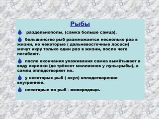 Размножение Хордовых | PPT