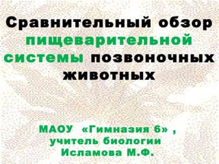 Пищеварение Позвоночных | PPT