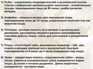 Пищеварение Позвоночных | PPT