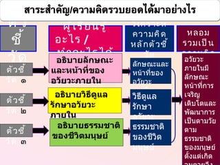 ตัวชี้วัด ตัวชี้วัด   ๑ ตัวชี้วัด   ๒ ตัวชี้วัด   ๓ ผู้เรียนรู้อะไร  /  ทำอะไรได้ วิเคราะห์ความคิดหลักตัวชี้วัด หลอมรวมเป็นความคิดรวบยอด อธิบายวิธีดูแลรักษาอวัยวะภายใน ลักษณะและหน้าที่ของอวัยวะภายใน วิธีดูแลรักษาอวัยวะภายใน ธรรมชาติของชีวิตมนุษย์ อวัยวะภายในมีลักษณะ หน้าที่การเจริญเติบโตและพัฒนาการเป็นตามวัยตามธรรมชาติของมนุษย์ตั้งแต่เกิดจนตายจึงควรรู้วิธีดูแลรักษา อธิบายลักษณะและหน้าที่ของอวัยวะภายใน อธิบายธรรมชาติของชีวิตมนุษย์ 