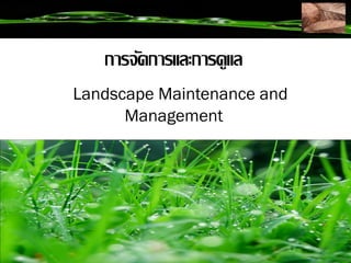 การจัดการและการดูแล
Landscape Maintenance and
      Management
 
