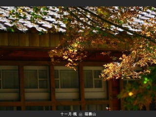 十一月‧楓  @  福壽山 