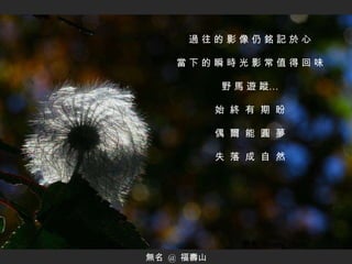 無名  @  福壽山 過 往 的 影 像 仍 銘 記 於 心 當 下 的 瞬 時 光 影 常 值 得 回 味 野 馬 遊 蹤 … 始  終  有  期  盼 偶  爾  能  圓  夢 失  落  成  自  然 ………… 野馬 ‧ Ready_chen 