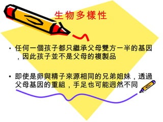 生物多樣性 任何一個孩子都只繼承父母雙方ㄧ半的基因， 因此孩子並不是父母的複製品 即使是卵與精子來源相同的兄弟姐妹，透過父母基因的重組，手足也可能迥然不同 