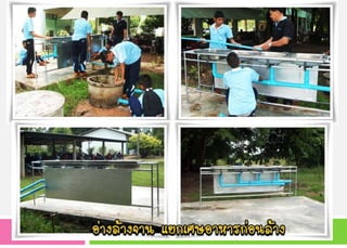 ๶ทคโนโลยีสะอาด