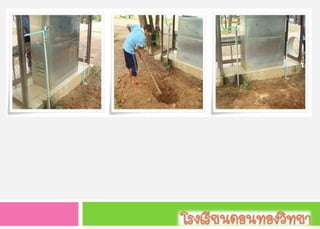 ขุดหลุม เพื่อนำน้ำที่เหลือจากการใช้ของนักเรียน ลงบ่อพัก เพื่อนำไปรดต้นไม้ ก่อให้เกิดประโยชน์ในโรงเรียน