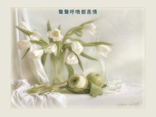 聲聲呼喚都是情 