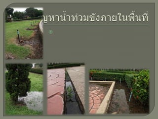 ปัญหาน้ำท่วมขังภายในพื้นที่ เนื่องจากในพื้นที่บางจุดไม่มีช่องระบายน้ำ และบางจุดนั้นเป็นพื้นที่ลุ่มอยู่ต่ำ ทำให้เกิึϸ้ำท่วมขังและทำให้หญ้าเȨาตาย๶ป็Ȩางจุด