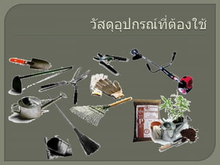 วัสดุอุปกรณ์ที่ต้องใช้