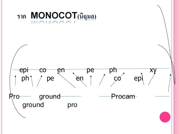 ชีววิทยา