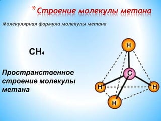 Строение молекулы метанаМолекулярная формула молекулы метанаCH4Пространственное строение молекулыметана
