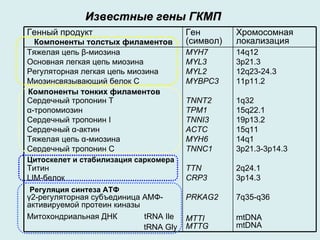 Известные гены ГКМП   Компоненты толстых филаментов Компоненты тонких филаментов Цитоскелет и стабилизация саркомера Регуляция синтеза АТФ Генный продукт  Ген (символ) Хромосомная локализация Тяжелая цепь β-миозина Основная легкая цепь миозина Регуляторная легкая цепь миозина Миозинсвязывающий белок С Сердечный тропонин Т α-тропомиозин C ердечный тропонин  I Сердечный α-актин Тяжелая цепь α-миозина Сердечный тропонин С Титин LIM -белок γ2-регуляторная субъединица АМФ-активируемой протеин киназы Митохондриальная ДНК  tRNA Ile tRNA Gly   MYH 7 MYL 3 MYL2 MYBPC 3 TNNT 2 TPM 1 TNNI 3 ACTC MYH6 TNNC1 TTN CRP3 PRKAG2 MTTI MTTG   14q12 3p21.3 12q23-24.3 11p11.2 1q32 15q22.1 19p13.2 15q11 14q1 3p21.3-3p14.3 2q24.1  3 p14.3 7q35-q36 mtDNA mtDNA   