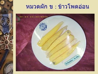 หมวดผัก ข   :  ข้าวโพดอ่อน 