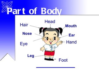 Head Hand Foot Leg Eye Ear Mouth Nose Hair Part of Body 