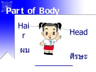 Head ศีรษะ Hair ผม Part of Body 