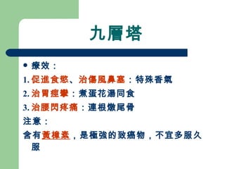九層塔 療效： 1. 促進食慾 、 治傷風鼻塞 ：特殊香氣 2. 治胃痙攣 ：煮蛋花湯同食 3. 治腰閃疼痛 ：連根燉尾骨  注意： 含有 黃樟素 ，是極強的致癌物，不宜多服久服 