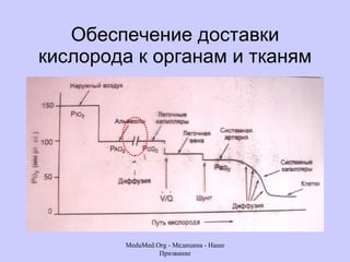 Обеспечение доставки кислорода к органам и тканям MeduMed.Org -  Медицина - Наше Призвание 