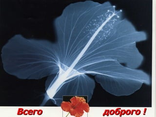 Всего  доброго ! 