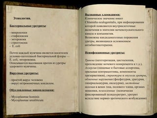 Этиология. Бактериальные уретриты :  - микрококки  - стафилококк  - энтерококк - стрептококк -  Е.  coli Почти каждый мужчина является носителем условно-патогенной бактериальной флоры —  Е.  coli , энтерококка. Описываются высевания протея из уретры здорового мужчины. Вирусные уретриты:   - простой вирус человека  - вирус остроконечных кондилом.  Обусловленные микоплазмами: -  Mycoplasmae hominis -  Mycoplasmae urealiticum Вызванные хламидиями: Клиническое значение имеет  Chlamidia oculogenitalis , при инфицировании  которой появляются внутриклеточные  включения в эпителии мочеиспускательного  канала и конъюнктив.  Возможны кандидаматозные поражения  уретры, являющиеся осложнением  антибиотикотерапии. Неинфекционные уретриты:   Травма  (катетеризация, цистоскопия,  прохождение мочевого конкремента и т.д.),  Аллергия  (пищевые и бытовые аллергены,  оральные контрацептивы, компоненты  презервативов),  стриктуры  и  опухоли уретры ,  обменные нарушения  (фосфатурия, уратурия,  гиперкальциурия, оксалурия),  застойные  явления  в венах таза, полового члена, органах  мошонки,  психогенные   (психически  фиксированный псевдоуретрит, уретрит  вследствие нервно-эротического возбуждения) 