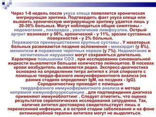 Через 1-8 недель после  укуса клеща  появляется хроническая мигрирующая эритема. Подтвердить факт укуса клеща или выявить хроническую мигрирующую эритему удается лишь у 20-30% больных. Могут наблюдаться общие симптомы -  недомогание  ,  лихорадка  ,  увеличение лимфоузлов . Острый  артрит  возникает у 50%, хронический - у 11%, эрозии суставных поверхностей - у 2% больных.  Поражаются преимущественно крупные суставы  . У некоторых больных развиваются поздние осложнения -  миокардит  (у 8%),  менингизм  и  поражение черепных нервов  (у 7%).  Недомогание  и  когнитивные нарушения  могут сохраняться длительно. Характерно  повышение СОЭ  , при исследовании синовиальной жидкости выявляется большое количество лейкоцитов. В посевах крови возбудитель выявляется редко. Экспресс-диагностика основана на определении титра антител к этой спирохете с помощью твердо-фазного иммуноферментного анализа (на ранних стадиях определяют IgM, на поздних - IgG). Серодиагностику проводят с помощью  твердофазного иммуноферментного анализа  и метода  непрямой иммунофлуоресценции  , для подтверждения диагноза применяют иммуноблоттинг . Следует отметить, что оценка результатов серологических исследований затруднена. Так, наличие антител достоверно свидетельствует лишь о перенесенной инфекции, а в острой стадии заболевания и на фоне антимикробной терапии антитела могут не выделяться.  