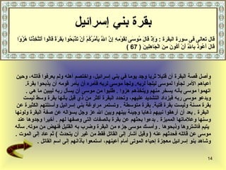 بقرة بني إسرائيل وأصل قصة البقرة أن قتيلا ثريا وجد يوما في بني إسرائيل، واختصم أهله ولم يعرفوا قاتله، وحين  أعياهم الأمر لج أ وا لموسى ليلجأ لربه .  ولجأ موسى لربه فأمره أن يأمر قومه أن يذبحوا بقرة .   اتهموا موسى بأنه يسخر منهم ويتخذهم هزوا   .  طلبوا من موسى أن يسأل ربه ليبين ما هي   .  ويدعو موسى ربه فيزداد التشديد عليهم، وتحدد البقرة أكثر من ذي قبل بأنها بقرة وسط   ليست  بقرة مسنة وليست بقرة فتية .  بقرة متوسطة   .  وتستمر مراوغة بني إسرائيل  وأسئلتهم الكثيرة عن البقرة  .   بعد أن أرهقوا نبيهم ذهابا وجيئة بينهم وبين الله عز وجل   بسؤاله عن صفة البقرة ولونها  وسنها وعلاماتها المميزة   .  بدءوا بحثهم عن بقرة  ب الصفات  التى وصفها لهم  .  أخيرا وجدوها عند يتيم فاشتروها وذبحوها   .  وأمسك موسى جزء من البقرة وضرب به القتيل فنهض من موته .  سأله  موسى عن قاتله فحدثهم   عنه  (   وقيل أشار إلى القاتل فقط من غير أن يتحدث   )  ثم عاد إلى الموت   .  وشاهد بنو إسرائيل معجزة إحياء الموتى أمام أعينهم، استمعوا بآذانهم إلى اسم القاتل   . قال تعالى فى سورة البقرة  :  وَإِذْ قَالَ مُوسَى لِقَوْمِهِ إِنَّ اللَّهَ يَأْمُرُكُمْ أَنْ تَذْبَحُوا بَقَرَةً قَالُوا أَتَتَّخِذُنَا هُزُوًا قَالَ أَعُوذُ بِاللَّهِ أَنْ أَكُونَ مِنَ الْجَاهِلِينَ  ( 67 ) 