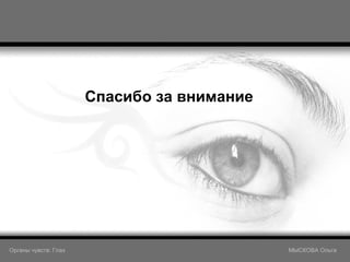 Спасибо за внимание Органы чувств: Глаз     МЫСКОВА Ольга 