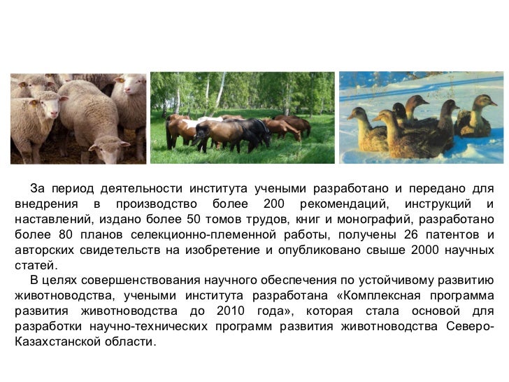 северо казахстанский нии животноводства и растениеводства