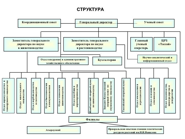 Схема отраслевой структуры животноводства. Схема отраслевой структуры животноводства