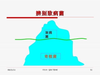 辨别致病菌 08/21/11 覃铁和  QIN TIEHE 致病菌 寄植菌 