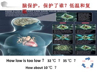 CHINA International Neuroscience Institute ICU 脑保护，保护了谁？低温和复温 How low is too low ？ 32 ℃  ？ 35 ℃  ？ How about 10 ℃  ？ 评估 治疗 监测 
