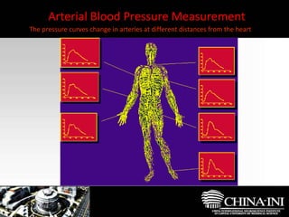 Arterial Blood Pressure Measurement The pressure curves change in arteries at different distances from the heart 
