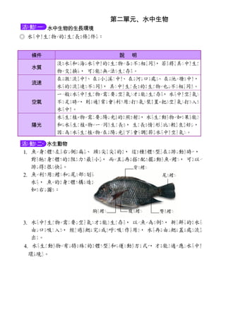 水中生物