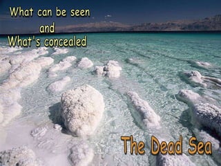 What can be seen The Dead Sea and  What's concealed 