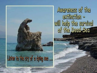 Awareness of the extinction - will help the survival of the Dead Sea Listen to the cry of a dying sea ... 