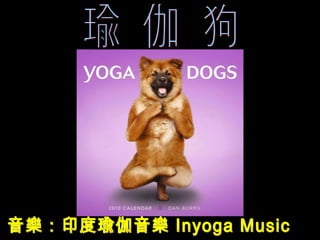 瑜伽狗 音乐：印瑜伽音乐  Inyoga Music 瑜 伽 狗 音樂：印度瑜伽音樂 Inyoga Music 