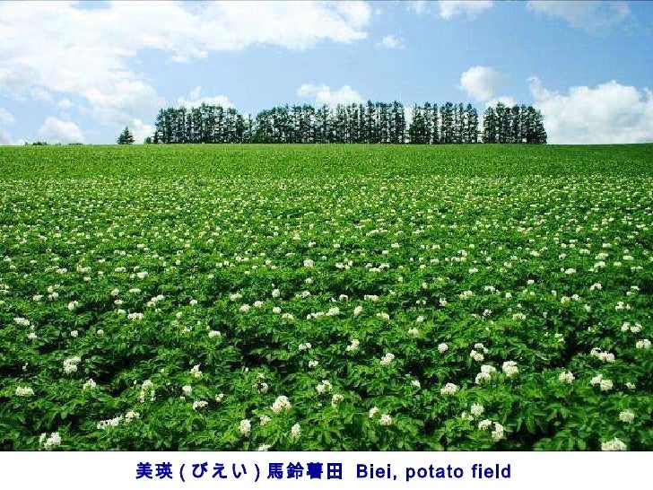 日本北海道風景