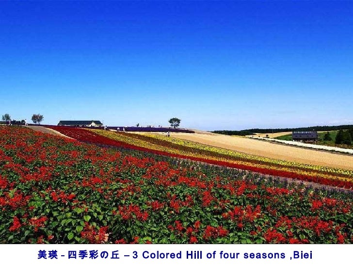 日本北海道風景