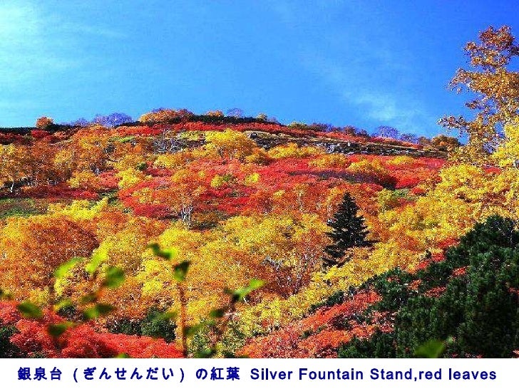 日本北海道風景 日本北海道風景