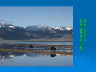 像不像一張明信片？ 在西藏這樣的景色卻很普通‧‧‧ 