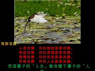 馬斯洛 說：  心若改變，你的態度跟著改變。   態度改變，你的習慣跟著改變。   習慣改變，你的性格跟著改變。   性格改變，你的人生跟著改變。       您這輩子的「人生」會改變下輩子的「人生」。   