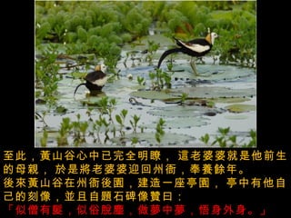 至此，黃山谷心中已完全明瞭，   這老婆婆就是他前生的母親，   於是將老婆婆迎回州衙，奉養餘年。  後來黃山谷在州衙後園，建造一座亭園，   亭中有他自己的刻像，並且自題石碑像贊曰：   「似僧有髮，似俗脫塵，做夢中夢，悟身外身。」  