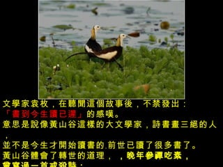 文學家袁枚，在聽聞這個故事後，不禁發出：   「書到今生讀已遲」 的感嘆。  意思是說像黃山谷這樣的大文學家，詩書畫三絕的人，   並不是今生才開始讀書的 ﹐ 前世已讀了很多書了。  黃山谷體會了轉世的道理，   ，晚年參禪吃素，   曾寫過一首戒殺詩：  