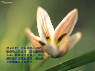 你可以對一個吸毒的小孩說一整個晚上的道理，這些道理他多半已經聽過很多遍了，而且絕對是有道理的道理，但他還是會繼續吸安非他命。 