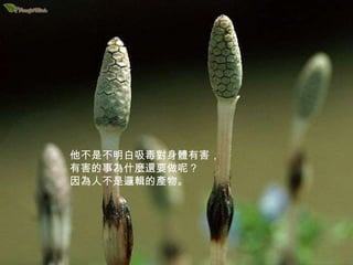 他不是不明白吸毒對身體有害， 有害的事為什麼還要做呢？ 因為人不是邏輯的產物。 