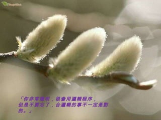 「你非常聰明，很會用邏輯程序， 但是不要忘了，合邏輯的事不一定是對的。」 