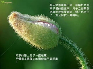 那天從停車場出來，有輛白色的車子橫的插進來，兒子立刻緊急剎車然後猛按喇叭，對方也剎住了，並且回按一聲喇叭。 回家的路上兒子一直在罵： 不懂得主線優先的道理就不要開車！ 