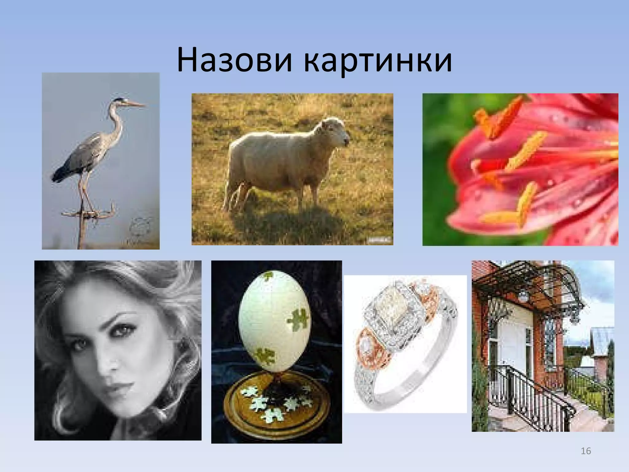 Назови картинки 